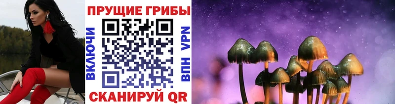 Псилоцибиновые грибы прущие грибы  Купить закладки  Нязепетровск 